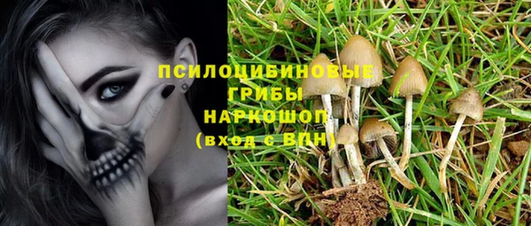 гидропоника Вязники