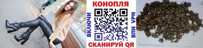 Конопля гибрид Златоуст